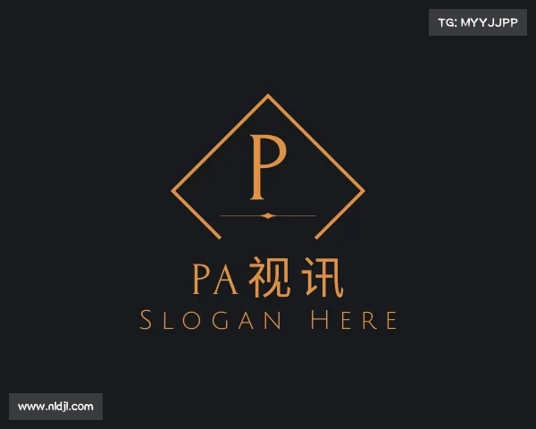 认识PA视讯